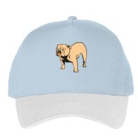 Classic 5-panel snapback (6007) Vignette