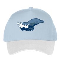 Classic 5-panel snapback (6007) Vignette