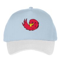 Classic 5-panel snapback (6007) Vignette