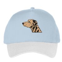 Classic 5-panel snapback (6007) Vignette