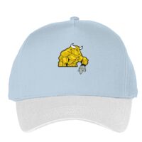 Classic 5-panel snapback (6007) Vignette