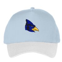 Classic 5-panel snapback (6007) Vignette