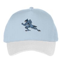 Classic 5-panel snapback (6007) Vignette