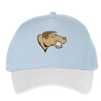 Classic 5-panel snapback (6007) Vignette