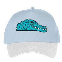 Classic 5-panel snapback (6007) Vignette