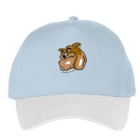 Classic 5-panel snapback (6007) Vignette