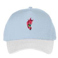 Classic 5-panel snapback (6007) Vignette