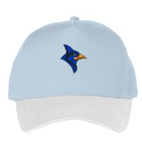 Classic 5-panel snapback (6007) Vignette