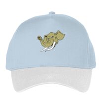 Classic 5-panel snapback (6007) Vignette