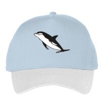 Classic 5-panel snapback (6007) Vignette