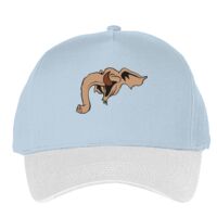 Classic 5-panel snapback (6007) Vignette