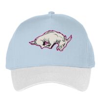 Classic 5-panel snapback (6007) Vignette