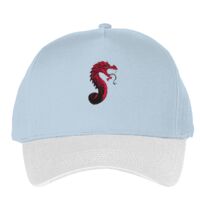 Classic 5-panel snapback (6007) Vignette