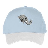 Classic 5-panel snapback (6007) Vignette