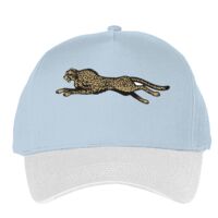 Classic 5-panel snapback (6007) Vignette