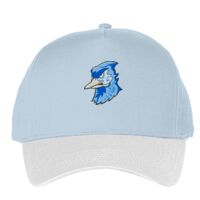 Classic 5-panel snapback (6007) Vignette