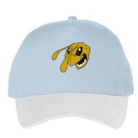 Classic 5-panel snapback (6007) Vignette