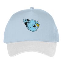 Classic 5-panel snapback (6007) Vignette
