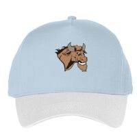 Classic 5-panel snapback (6007) Vignette