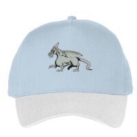Classic 5-panel snapback (6007) Vignette