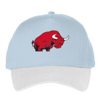 Classic 5-panel snapback (6007) Vignette