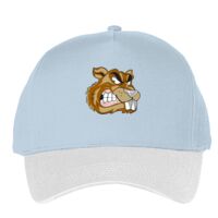 Classic 5-panel snapback (6007) Vignette