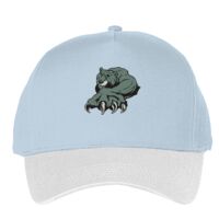Classic 5-panel snapback (6007) Vignette
