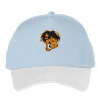 Classic 5-panel snapback (6007) Vignette