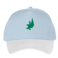 Classic 5-panel snapback (6007) Vignette