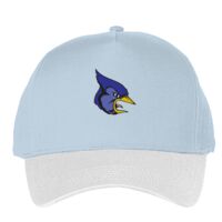 Classic 5-panel snapback (6007) Vignette