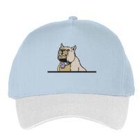 Classic 5-panel snapback (6007) Vignette