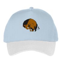 Classic 5-panel snapback (6007) Vignette