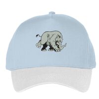 Classic 5-panel snapback (6007) Vignette