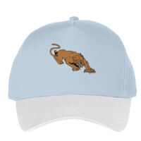 Classic 5-panel snapback (6007) Vignette