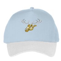 Classic 5-panel snapback (6007) Vignette