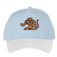 Classic 5-panel snapback (6007) Vignette