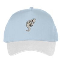 Classic 5-panel snapback (6007) Vignette