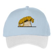 Classic 5-panel snapback (6007) Vignette