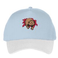 Classic 5-panel snapback (6007) Vignette