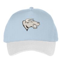 Classic 5-panel snapback (6007) Vignette