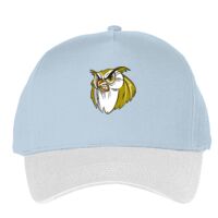 Classic 5-panel snapback (6007) Vignette