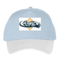 Classic 5-panel snapback (6007) Vignette