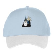 Classic 5-panel snapback (6007) Vignette