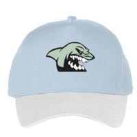 Classic 5-panel snapback (6007) Vignette