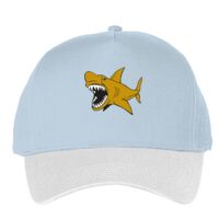 Classic 5-panel snapback (6007) Vignette