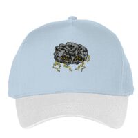 Classic 5-panel snapback (6007) Vignette