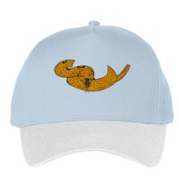 Classic 5-panel snapback (6007) Vignette