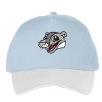 Classic 5-panel snapback (6007) Vignette
