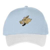 Classic 5-panel snapback (6007) Vignette