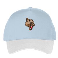 Classic 5-panel snapback (6007) Vignette